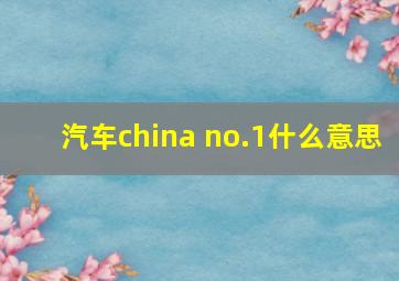 汽车china no.1什么意思